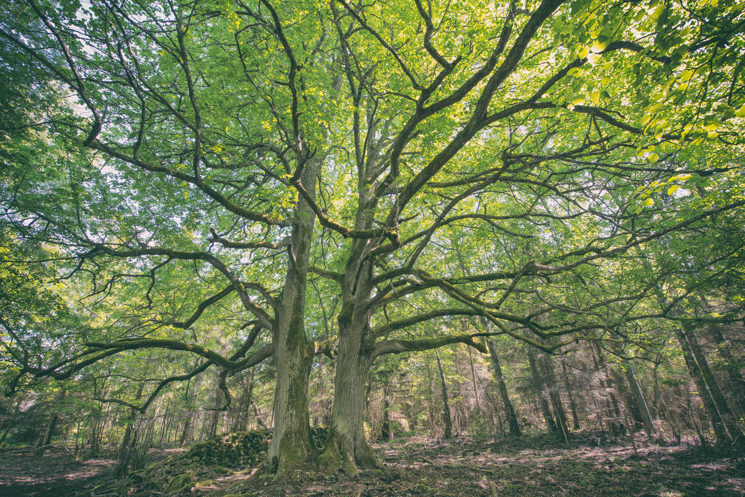 DSC_0315-Edit