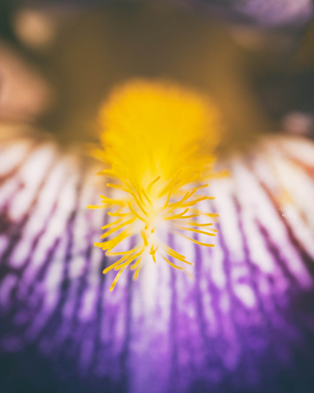 DSC_6046-Edit