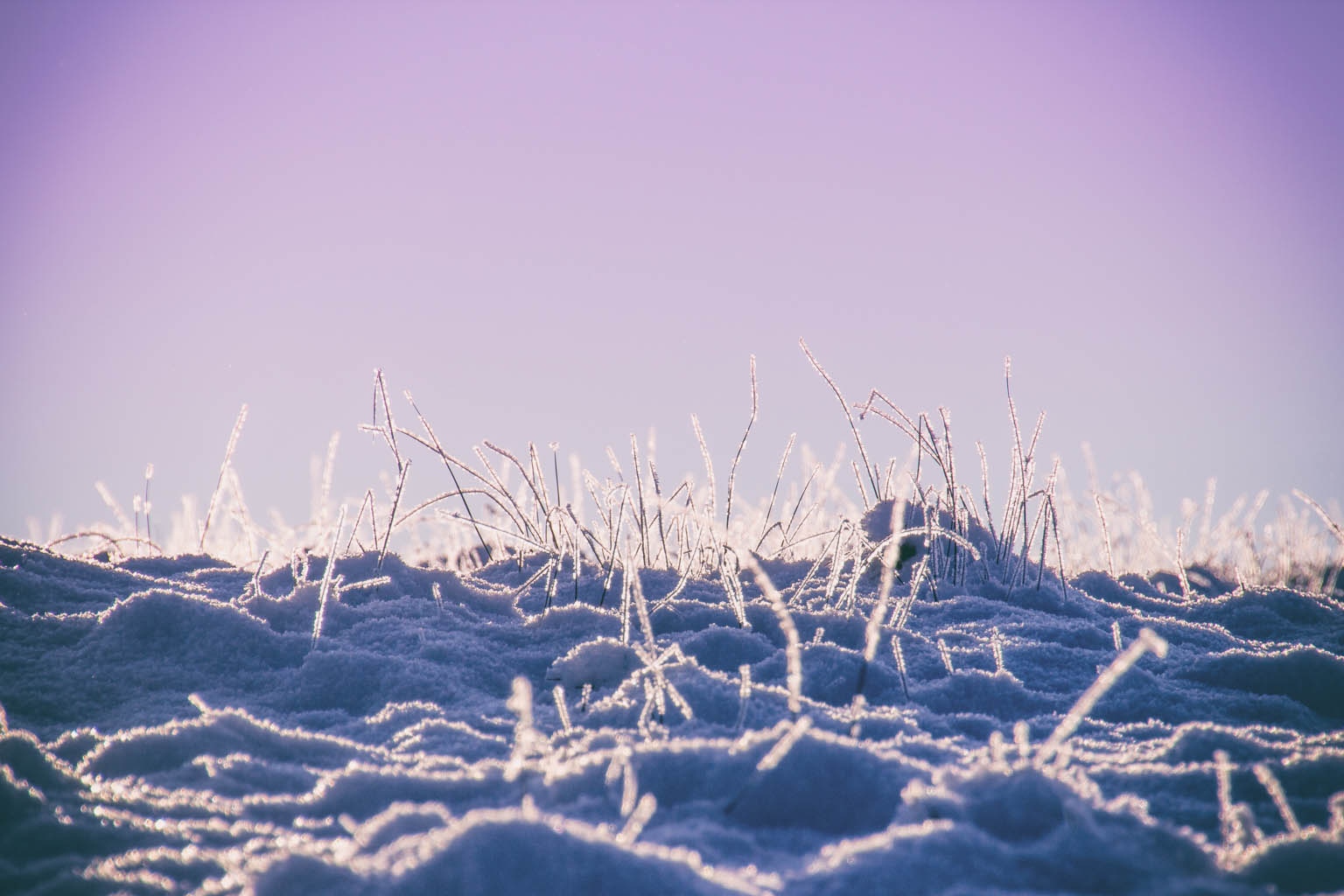 IMG_4720-Edit