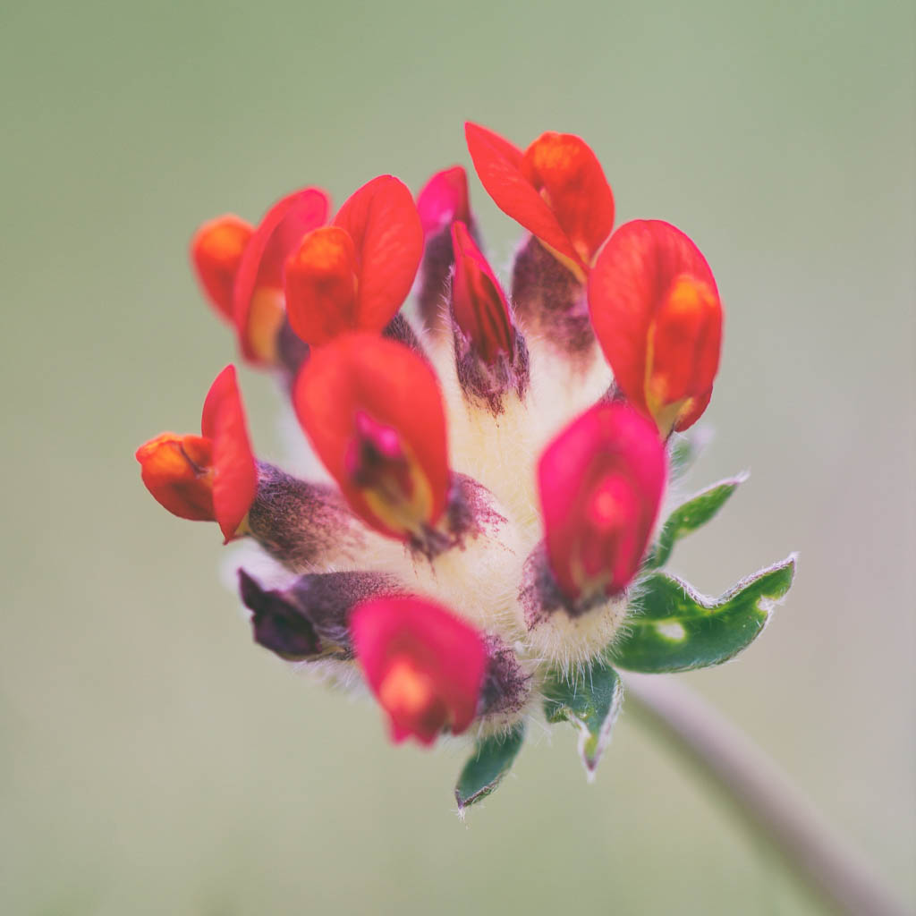 IMG_6885-Edit