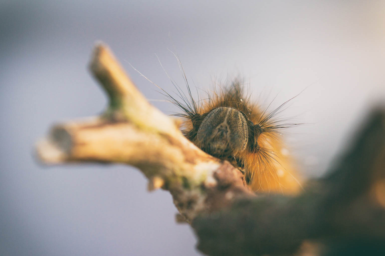 IMG_7121-Edit
