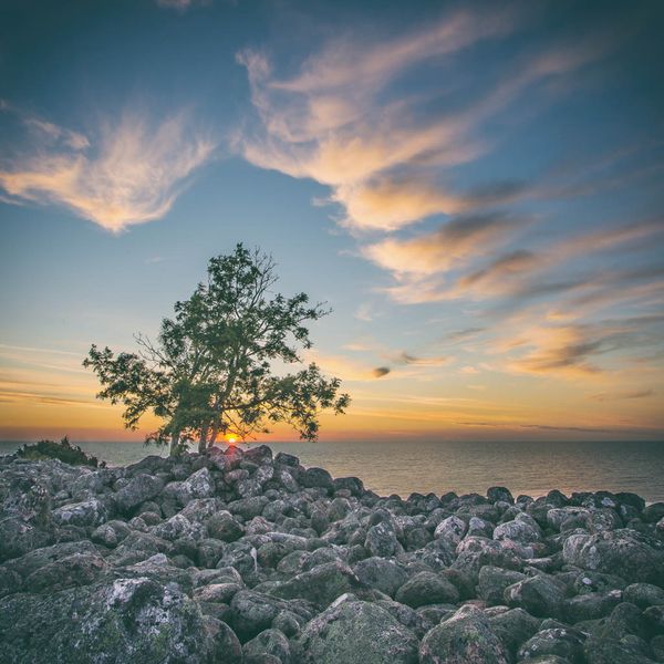 IMG 4558 Edit Edit Edit