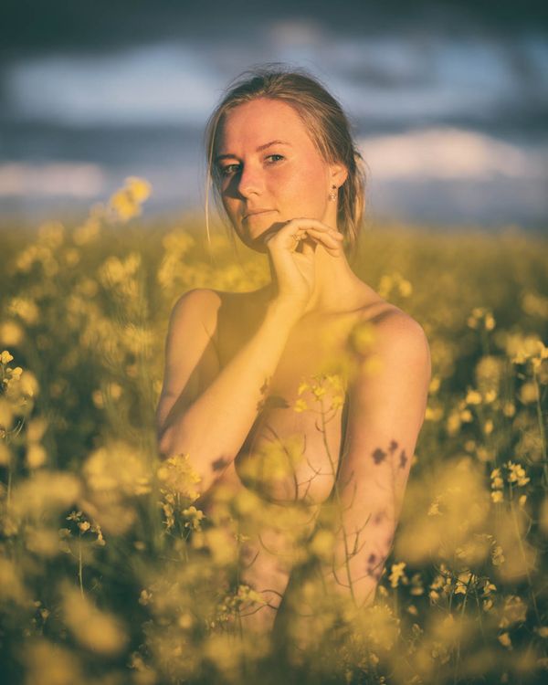 DSC 3666 Edit Edit 2 Edit Edit Edit